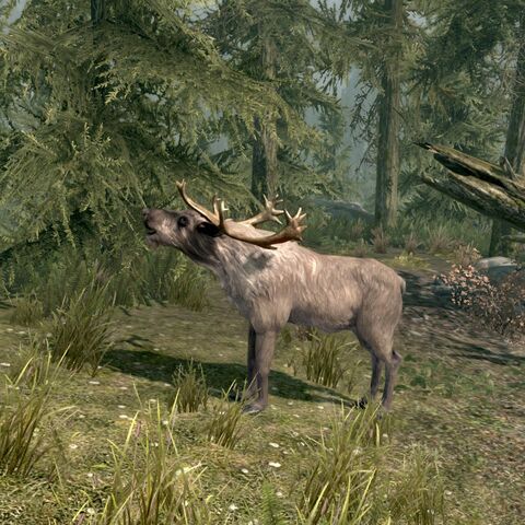File:Skyrim Bugling Elk.jpg
