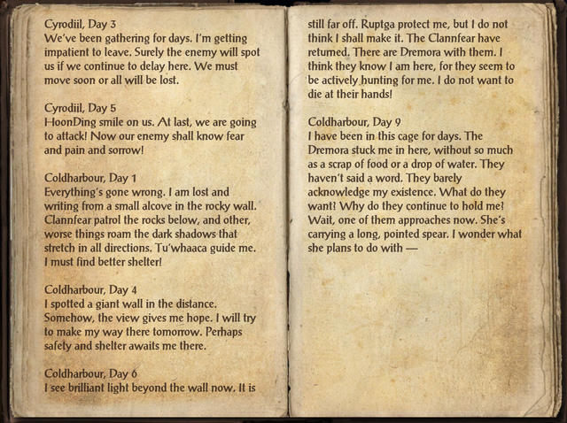 File:Guild Mage's Journal.png