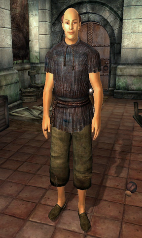 File:Faelian.png