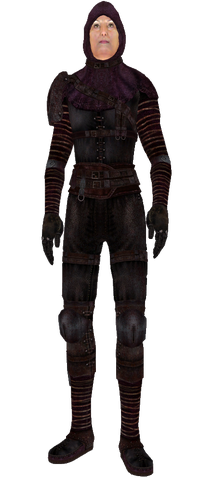 File:DBArmor.png