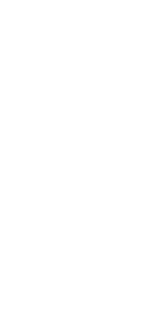 File:Dwemeris E.png