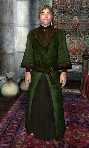 File:Mage ApprenticeFour.png