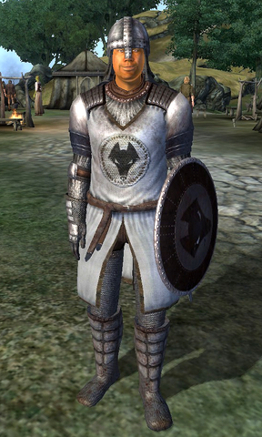 File:Kvatch Soldier.png