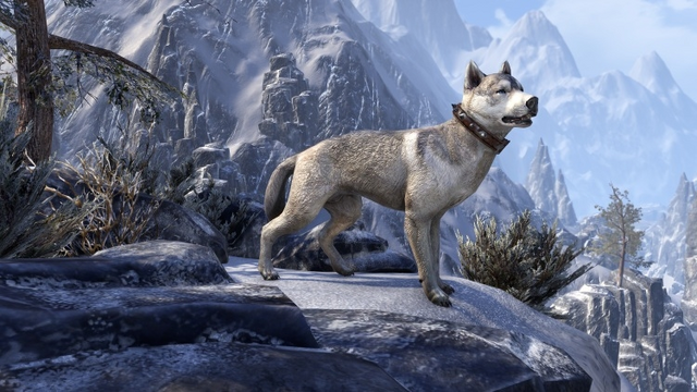 File:Markarth Bear-Dog.png