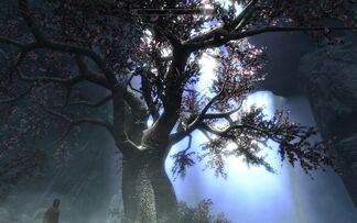 830px-EldergleamTree.jpg