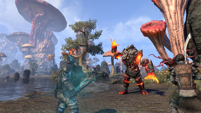 File:Morrowind combat.jpg