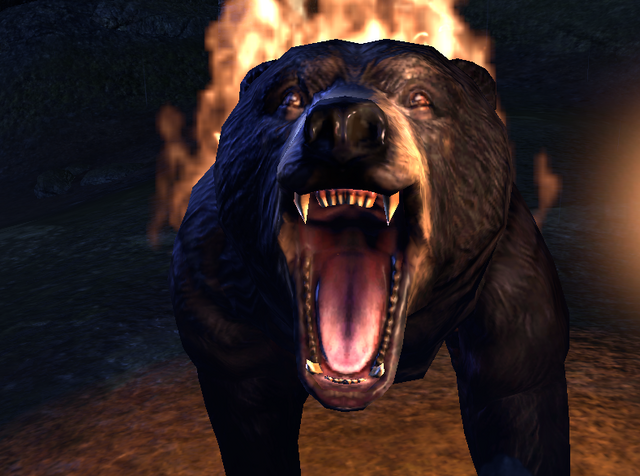 File:Bear essentials1.png