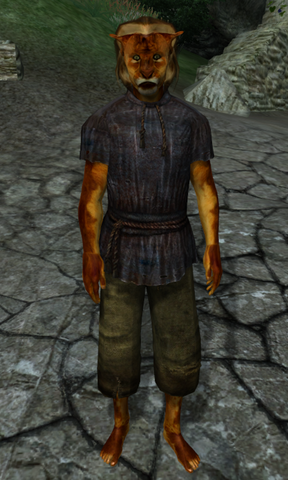 File:TESIV Test Ken's Khajiit.png
