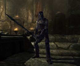 Draugr Holgeir