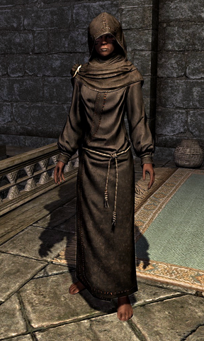 File:Hooded Grey Robes 00010CFEA.png