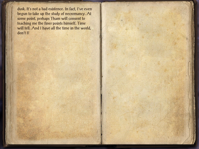 File:Aldimion's Journal 2.png