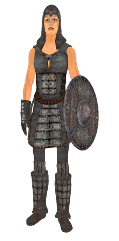 File:ChainmailArmor.png