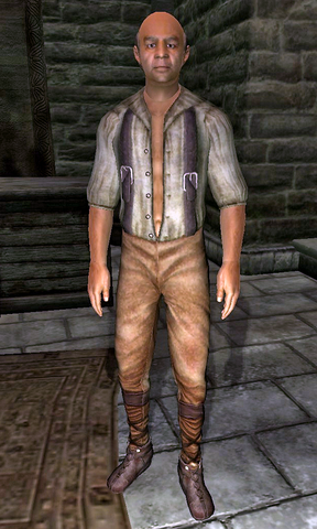 File:Vlanhonder Moslin.png