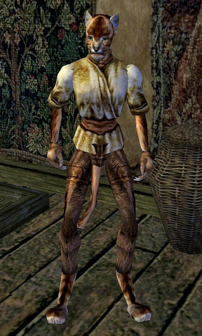 File:Adanja.png