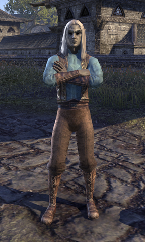 File:Kinsman Haladir.png