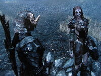 Companion aela.jpg