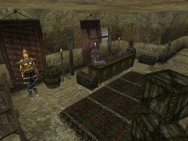 File:Vivec Aradraen Fletcher View.png