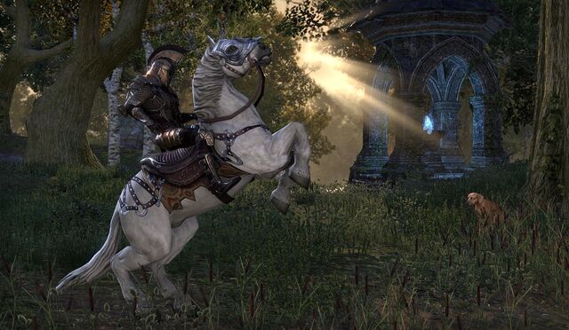 File:White Imperial Horse.jpg