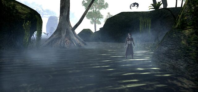 File:Lost in the mist1p.jpg