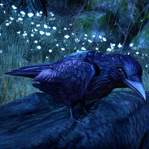 File:ESO Seneschal of Carrion.png