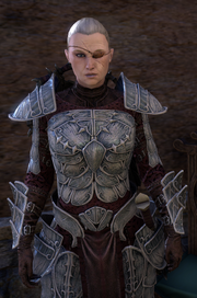 The Scarlet Judge (Quest) 9