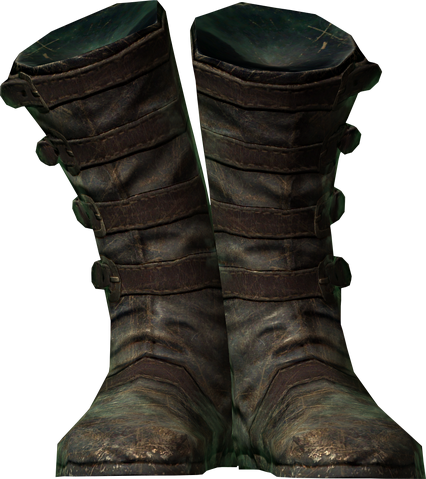 File:Linwes boots.png