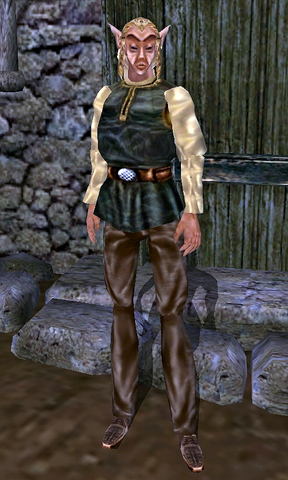 File:TESIII Fargoth.png
