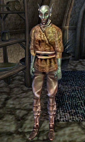 File:Hinammu Shishara.png