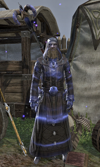 Arch-Mage Shalidor