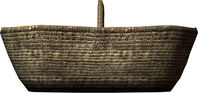 File:Basket 0009baf8.png
