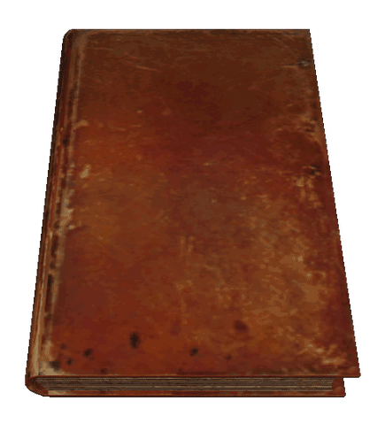 File:Quarto01.png