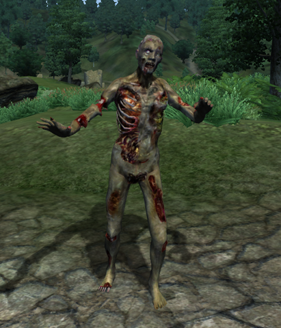 File:ZombieCombatTest.png