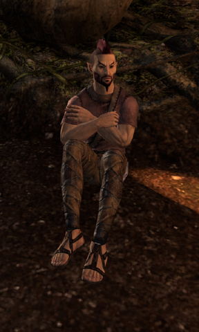 File:Feladir.png