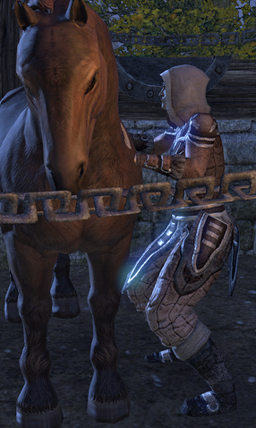 File:Hunt-Wife Lurgush.png
