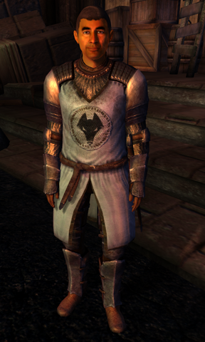 File:TESIV Guard Kvatch 1.png