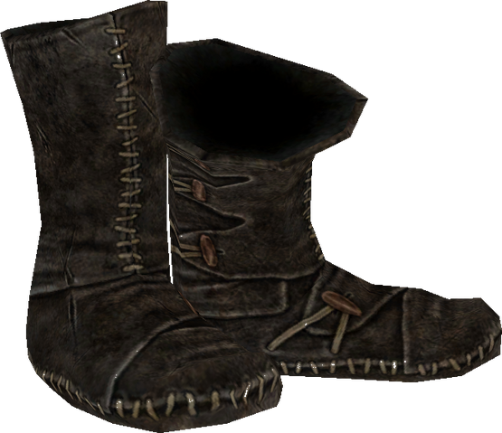 File:CollegeBoots.png