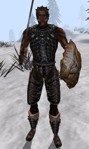 File:Dudley Morrowind.png