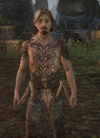 File:Endregail.png