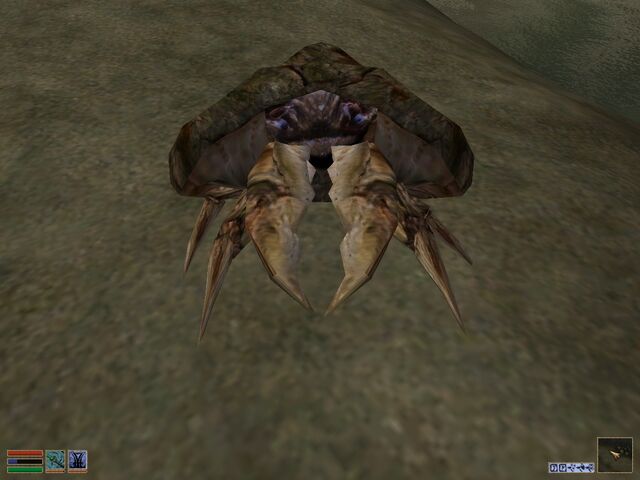 File:MudcrabMorrowind.jpg