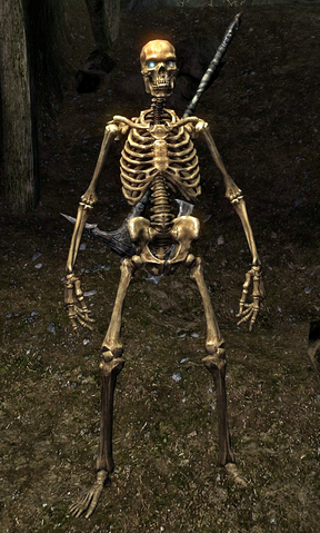 File:Skeleton (Skyrim).png