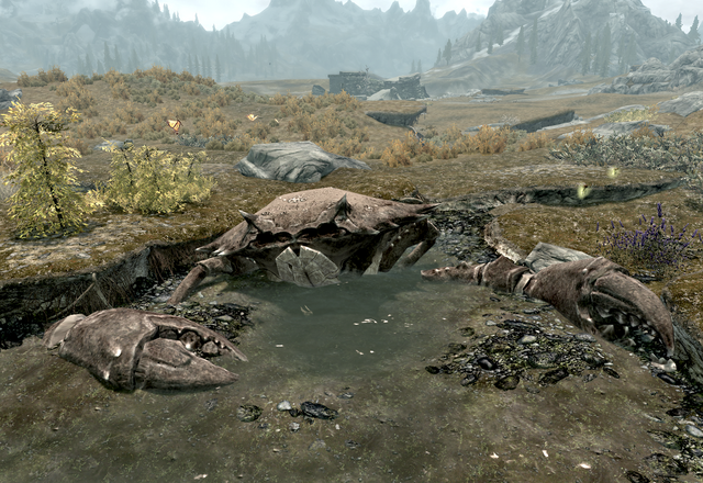 File:Giant Mudcrab.png