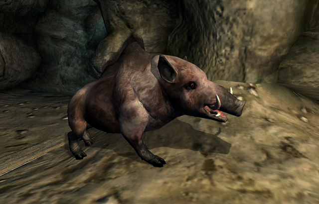 File:Bacon.png