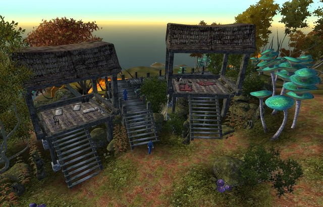 File:Dreamwalk Camp.png