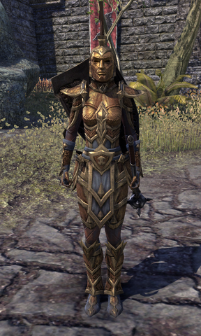 File:Ordinator Guard.png