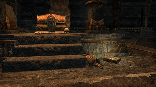 File:Ostarand Skeleton.png