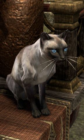 File:Ruby (cat).png