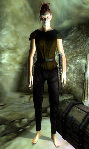 File:Vampire Witchhunter.png