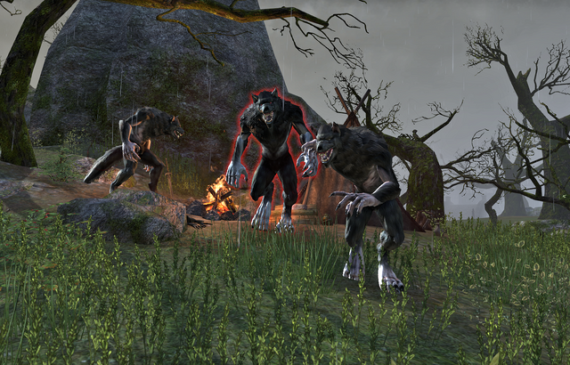 File:The Wolf's CampAttack.png