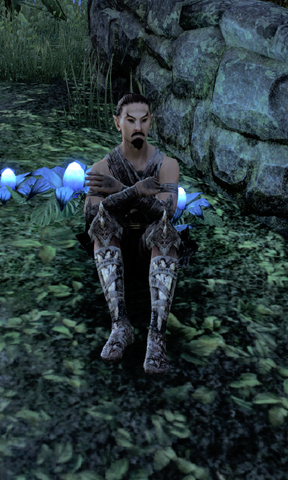 File:Finonas.png