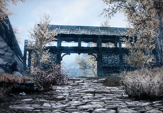 File:Gate to Cyrodiil-riften hold.jpg